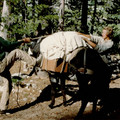 1950 Dorry and wrangler w donkey.jpeg