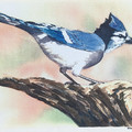 PXL_20230327_205205666.jpg