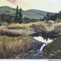 PXL_20230327_205232012.jpg
