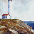 PXL_20230327_205814468.jpg